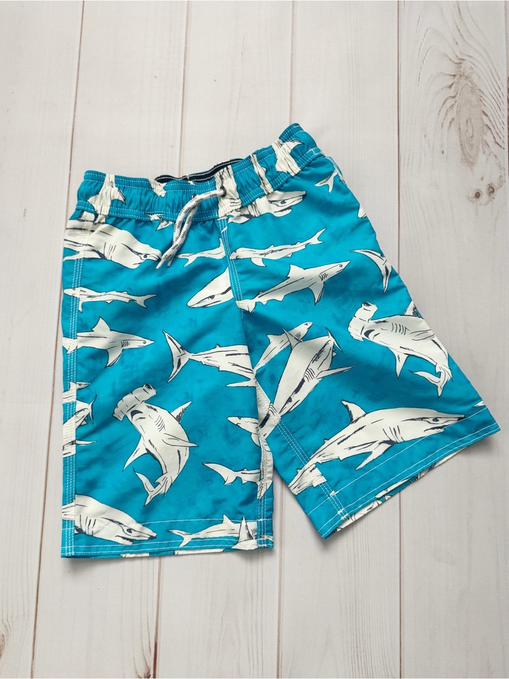 Lands End Shark Swim Trunks